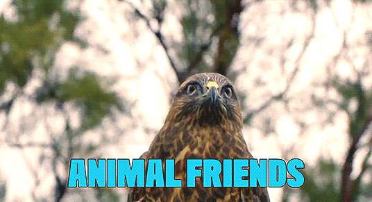 When you’re handling a bird, it’s really important that you use a